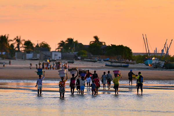 在馬達(dá)加斯加投資_專(zhuān)業(yè)非洲貨代_旭洲物流