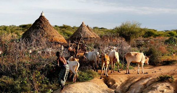 非洲疾病情況_藥品出口_非洲海運_旭洲物流 非洲疾病情況_藥品出口_非洲海運_旭洲物流