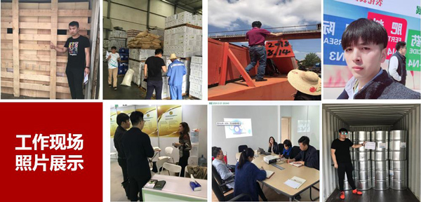 上海旭洲物流_非洲海運_非洲認證 上海旭洲物流_非洲海運_非洲認證