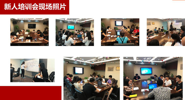 上海旭洲物流_非洲海運_非洲認證 上海旭洲物流_非洲海運_非洲認證