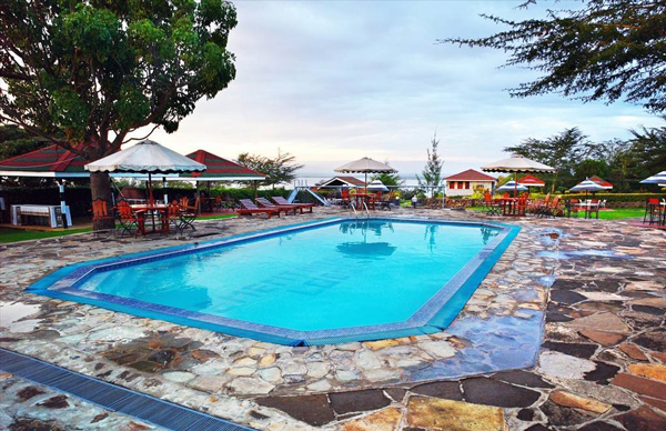 非洲陶瓷工業(yè)發(fā)展情況_非洲海運_旭洲物流