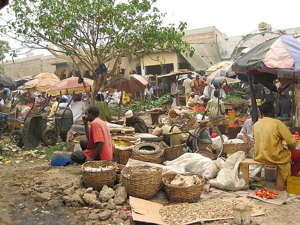 埃塞俄比亞進口的十大商品_非洲物流_上海旭洲