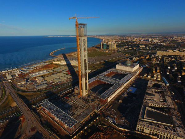 阿爾及利亞咖啡行業(yè)相關(guān)情況_非洲海運(yùn)_旭洲物流