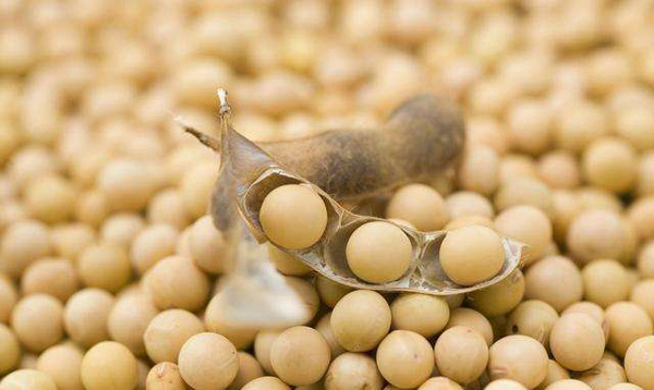 坦桑尼亞糧食儲(chǔ)備_非洲物流_上海旭洲 坦桑尼亞糧食儲(chǔ)備_非洲物流_上海旭洲