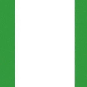 尼日利亞關(guān)稅