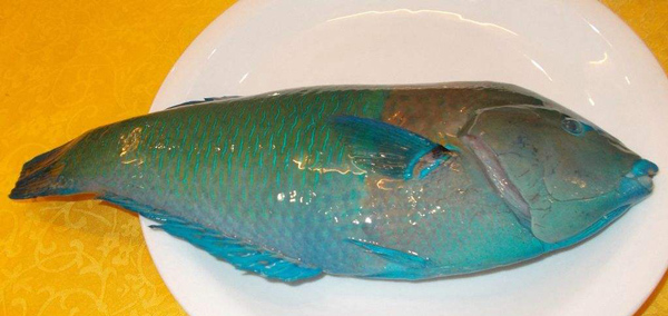 肯尼亞人都喜歡買什么？_非洲海運(yùn)_旭洲物流