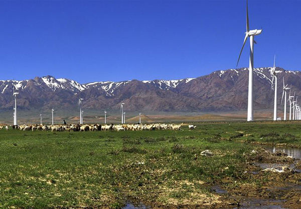 塞內(nèi)加爾經(jīng)濟增長情況_非洲物流_貨運代理