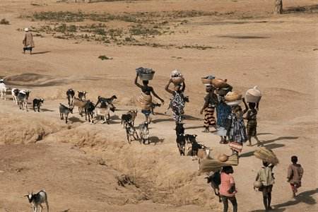 肯尼亞四分之三的大米都來(lái)自進(jìn)口_非洲物流_上海旭洲