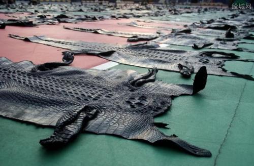 贊比亞對(duì)鱷魚皮征收10%的出口關(guān)稅_非洲物流_上海旭洲