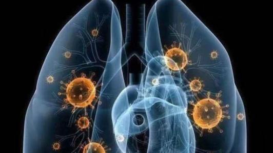 馬里采取了與關(guān)稅相關(guān)的應(yīng)對(duì)措施_非洲物流_上海旭洲 馬里采取了與關(guān)稅相關(guān)的應(yīng)對(duì)措施_非洲物流_上海旭洲