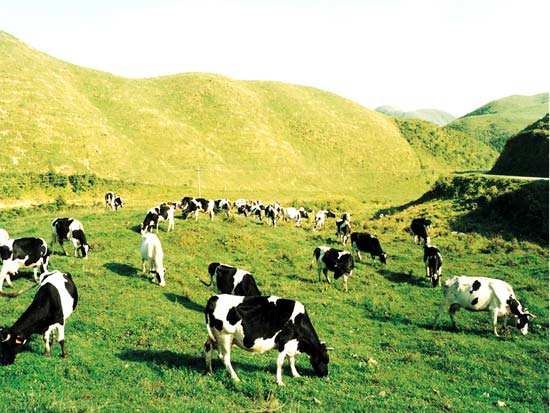 盧旺達和肯尼亞禁止坦桑尼亞人入境_非洲物流_上海旭洲 盧旺達和肯尼亞禁止坦桑尼亞人入境_非洲物流_上海旭洲