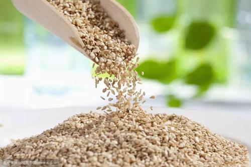 坦桑尼亞糧食儲(chǔ)備_非洲物流_上海旭洲 坦桑尼亞糧食儲(chǔ)備_非洲物流_上海旭洲